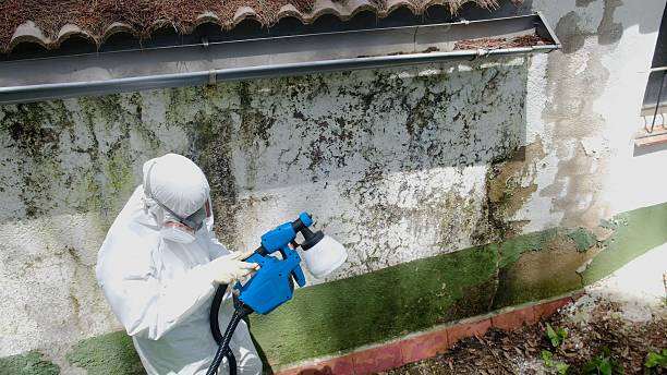 Top rated local Basement Mold Removal specialists in Fort George G Meade, MD